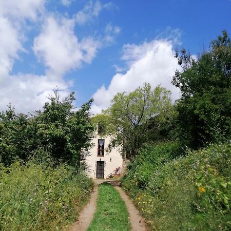 La Peonia Casa Vacanze In Montagna Prato Verde Panorama Stupendo Sardegna Seulo Ngoại thất bức ảnh
