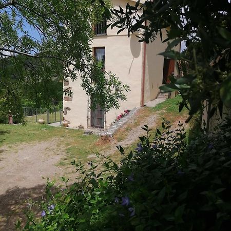 La Peonia Casa Vacanze In Montagna Prato Verde Panorama Stupendo Sardegna Seulo Ngoại thất bức ảnh
