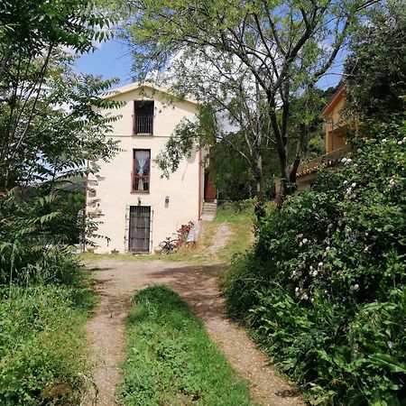 La Peonia Casa Vacanze In Montagna Prato Verde Panorama Stupendo Sardegna Seulo Ngoại thất bức ảnh