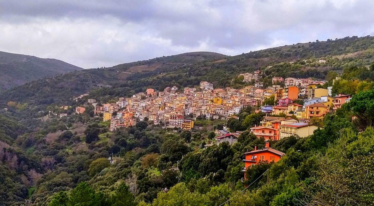 La Peonia Casa Vacanze In Montagna Prato Verde Panorama Stupendo Sardegna Seulo Ngoại thất bức ảnh