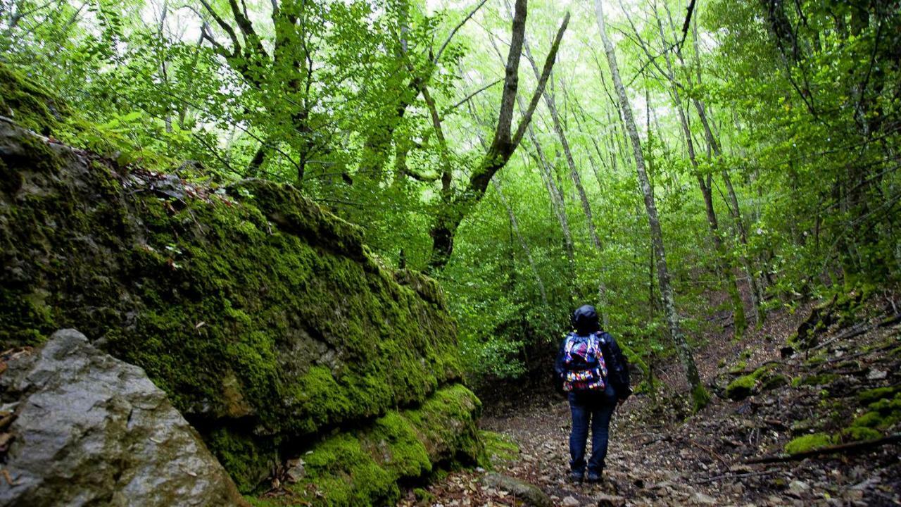 La Peonia Casa Vacanze In Montagna Prato Verde Panorama Stupendo Sardegna Seulo Ngoại thất bức ảnh