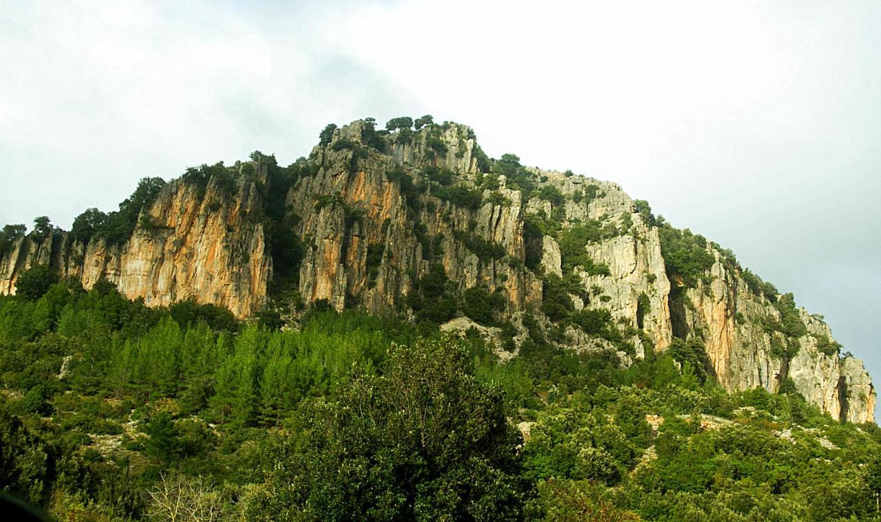 La Peonia Casa Vacanze In Montagna Prato Verde Panorama Stupendo Sardegna Seulo Ngoại thất bức ảnh