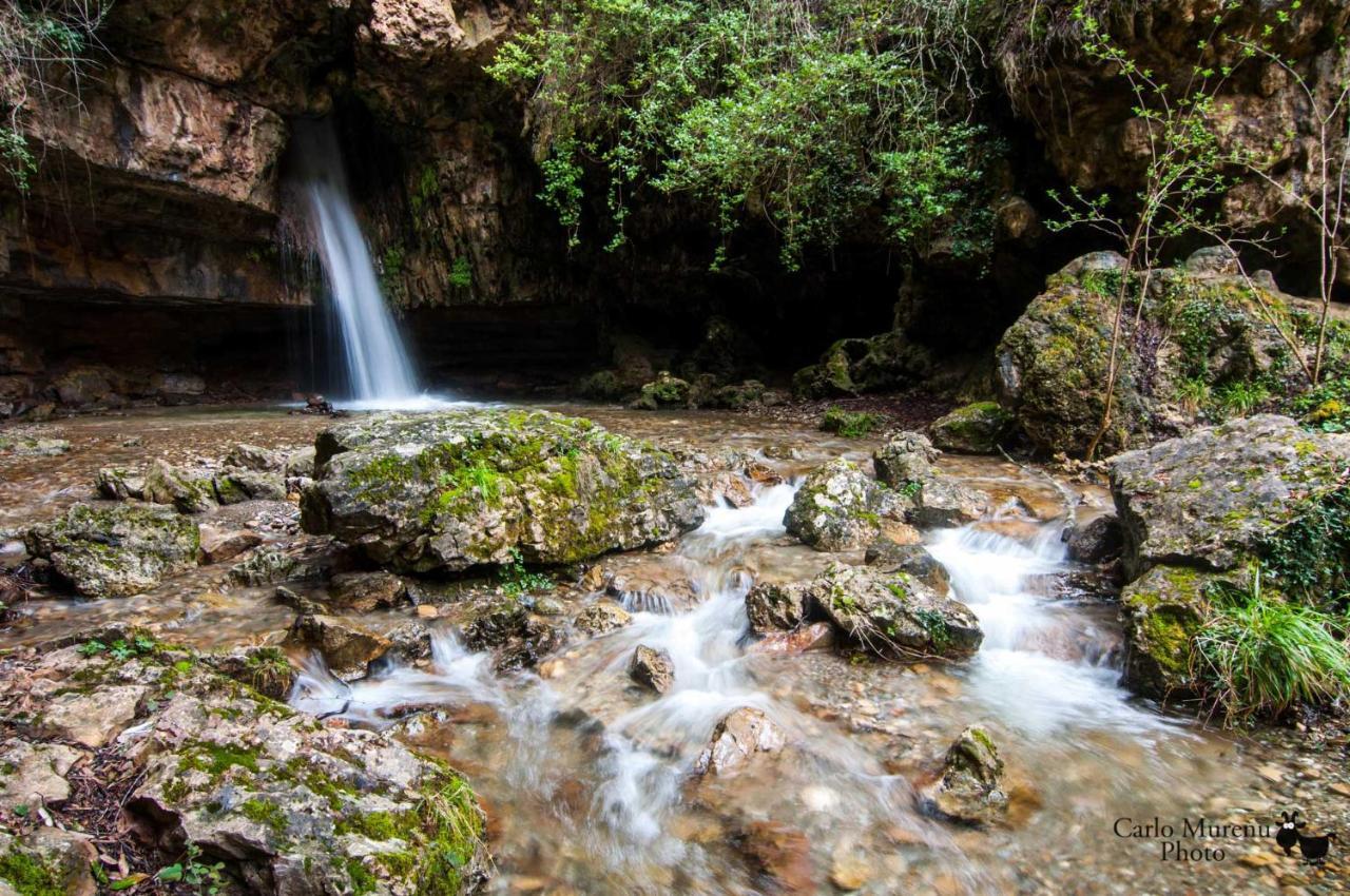 La Peonia Casa Vacanze In Montagna Prato Verde Panorama Stupendo Sardegna Seulo Ngoại thất bức ảnh